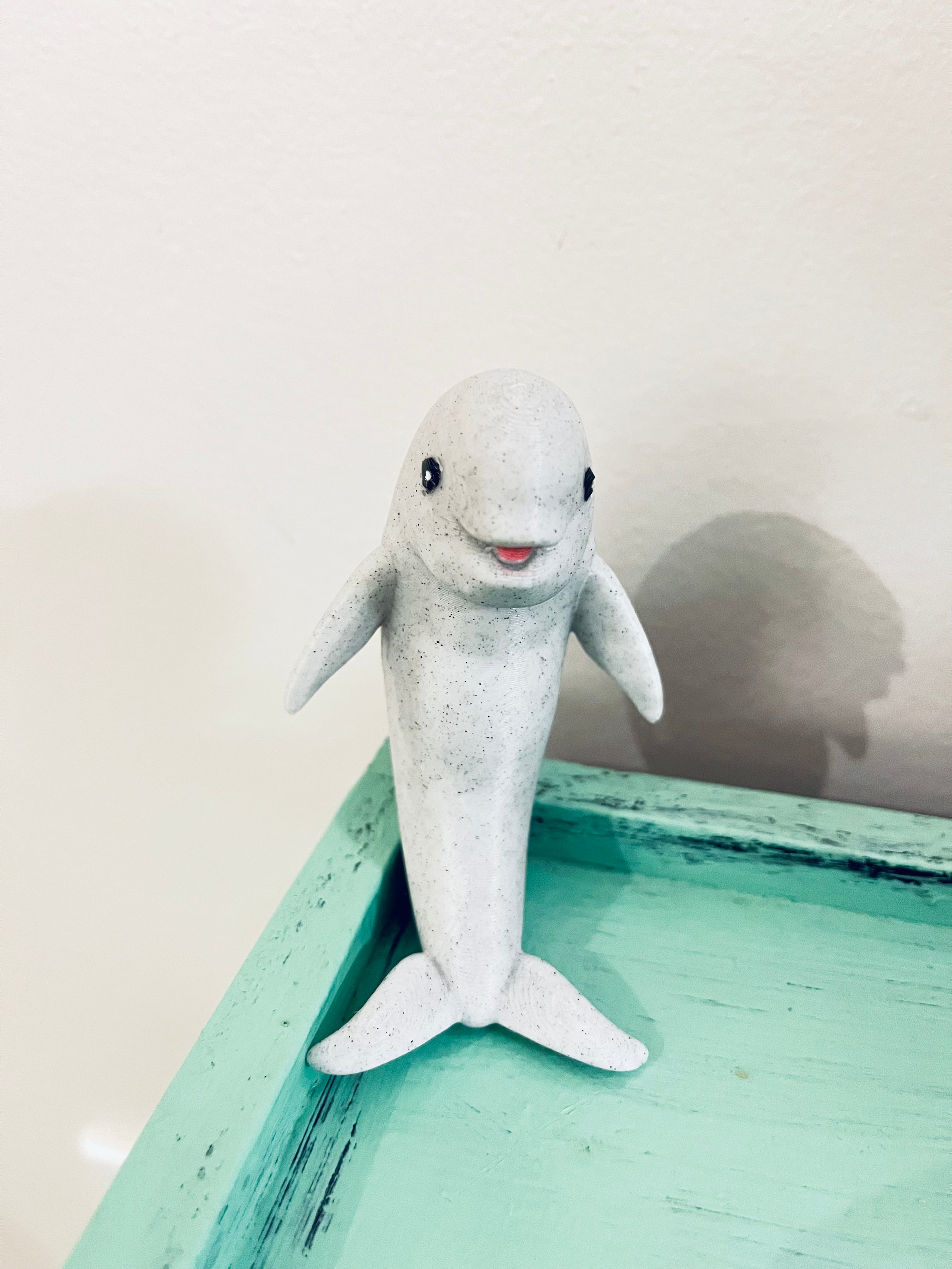 Small Dolphin