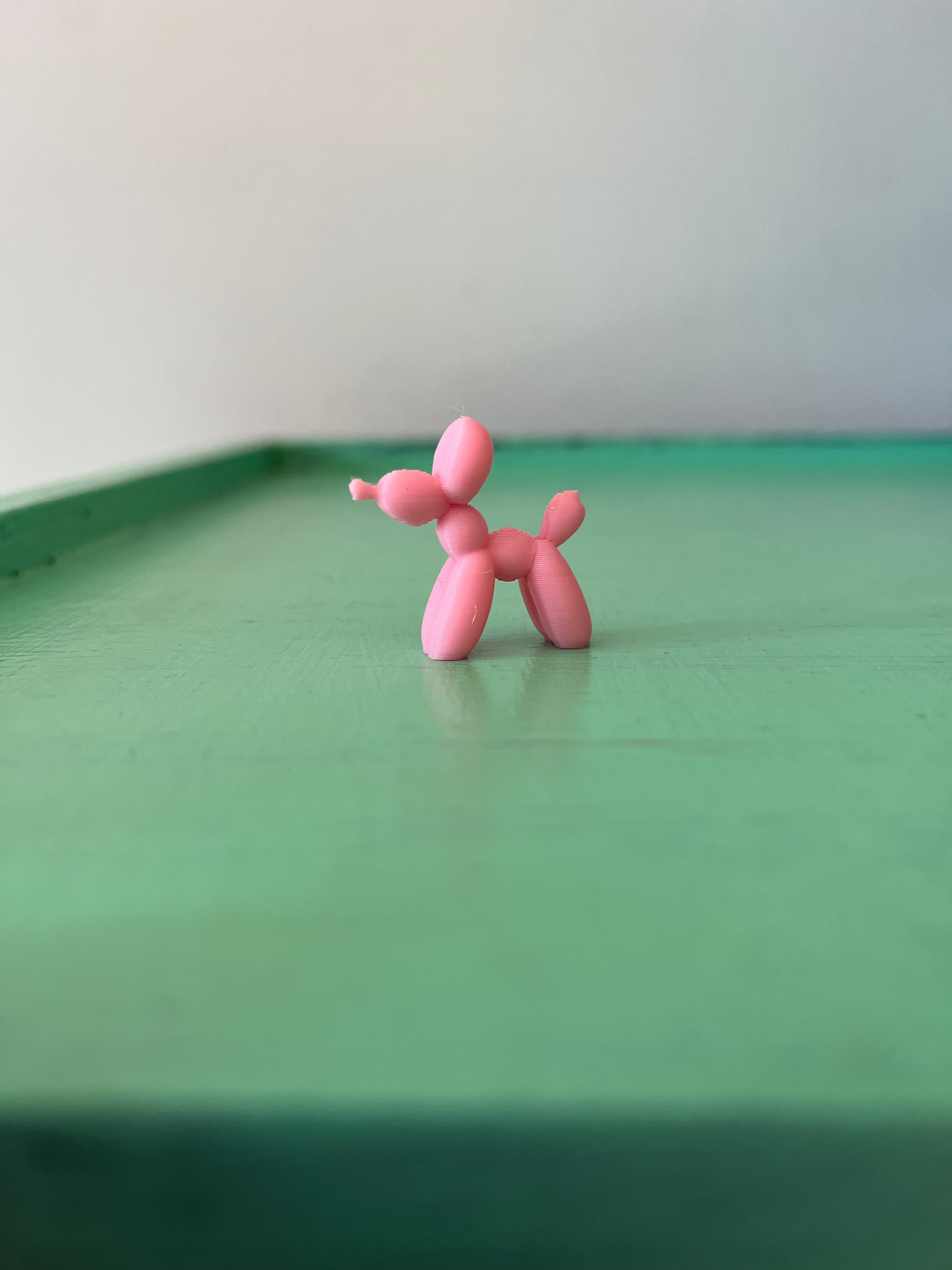 Teeny Tiny Balloon Animal